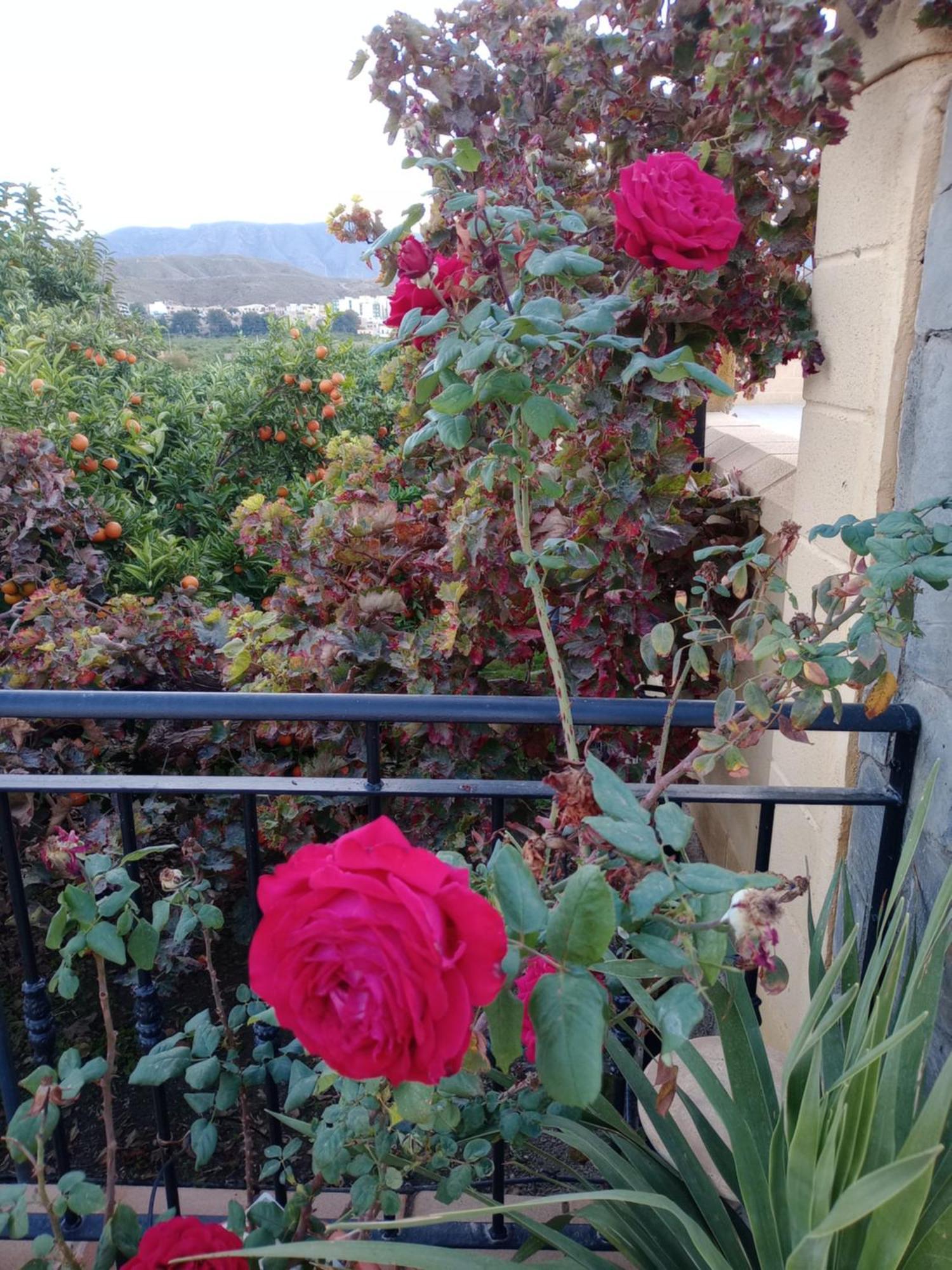 알메리아 Cortijo Paulenca 빌라 외부 사진